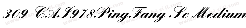 309 CAI978PingFang Sc Medium字体转换